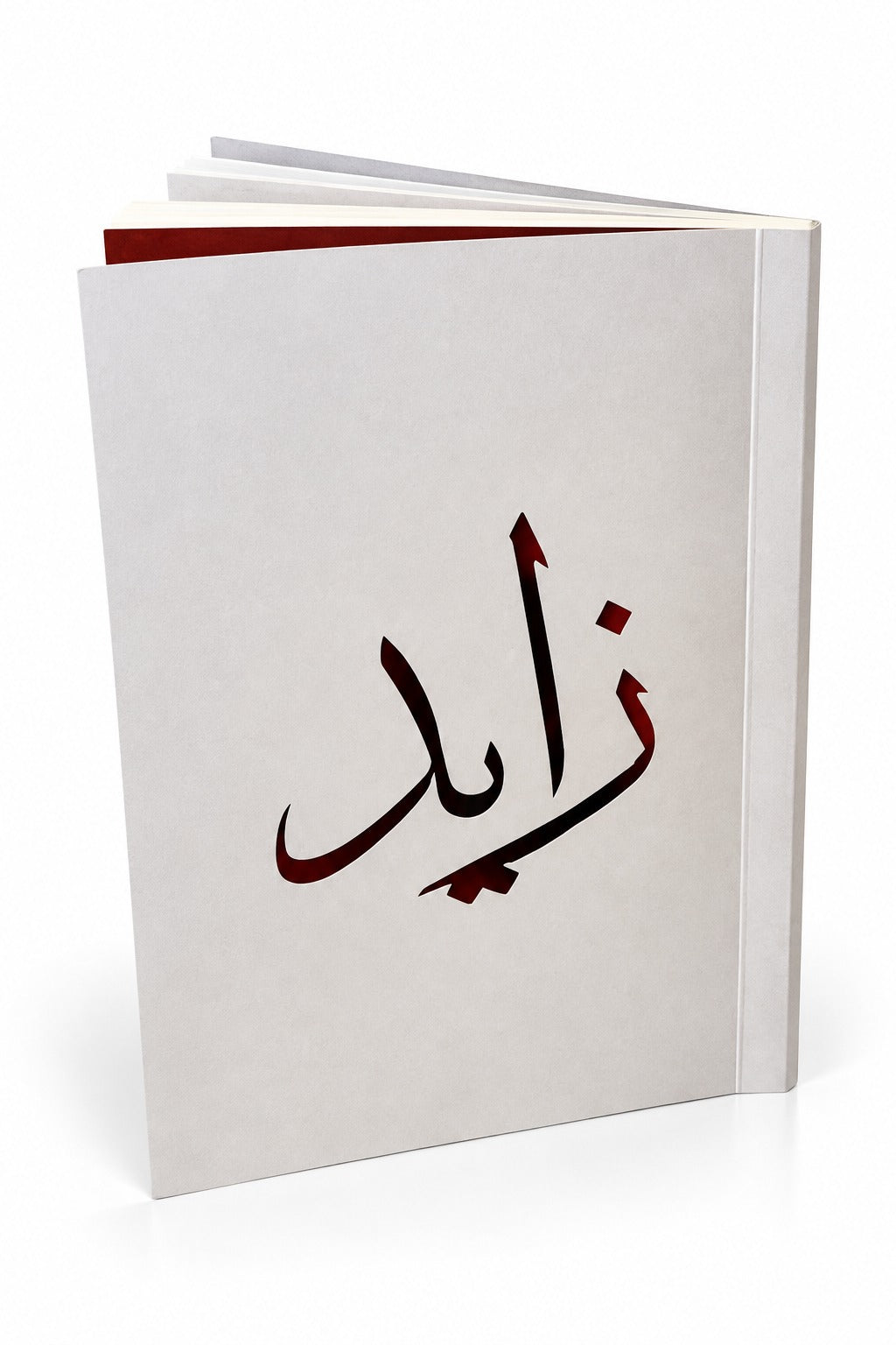 مدونة زايد